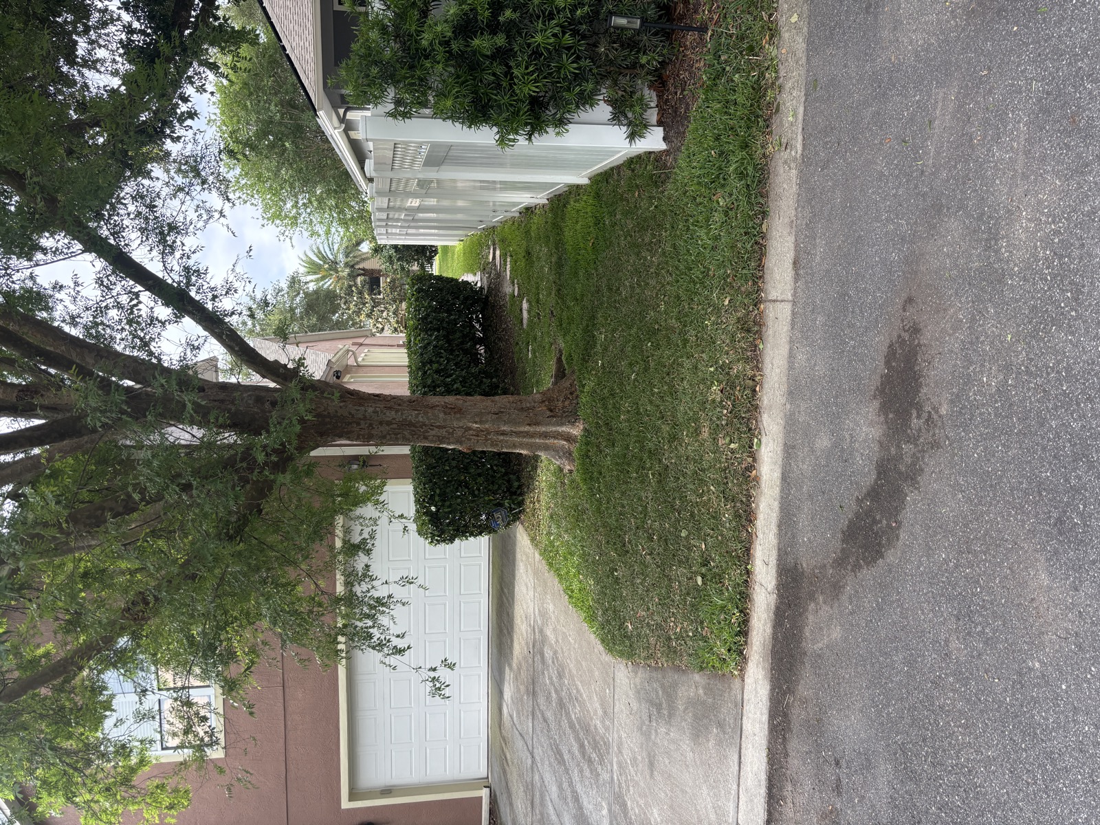 Clean residential yard after debris removal