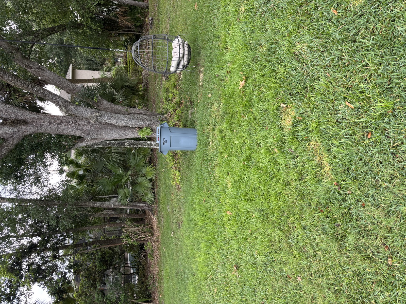 Clean yard with mailbox after yard waste removal